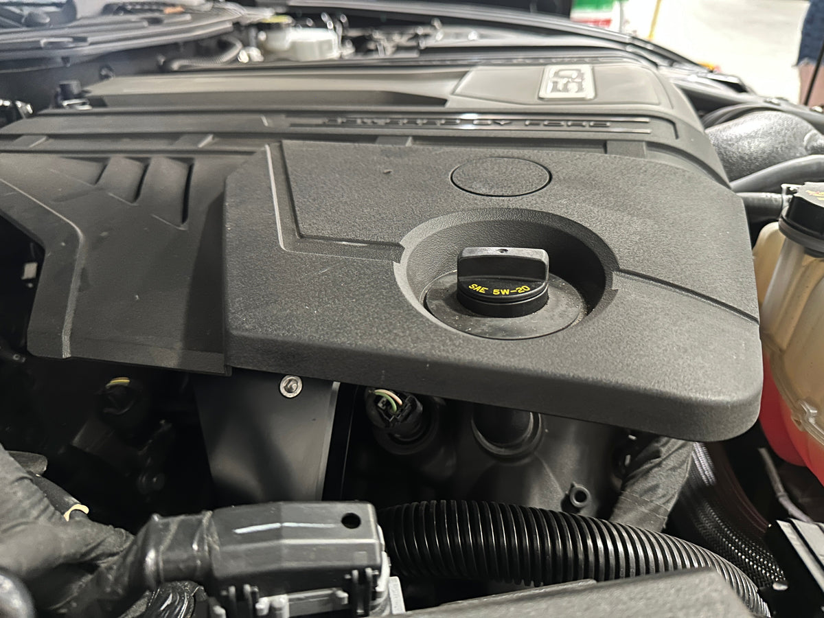 Ford 5.0 F150 Mustang Catch Can CCV