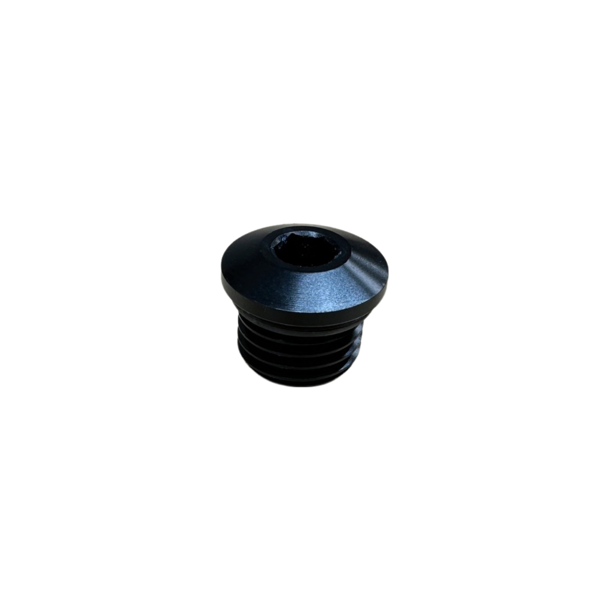 '-16 AN Port Plug