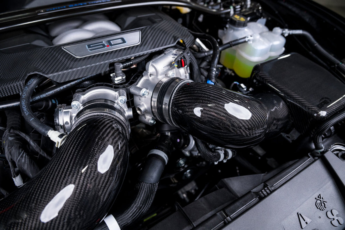 2024 2025 Ford Mustang GT & Dark Horse Carbon Fiber Intake System